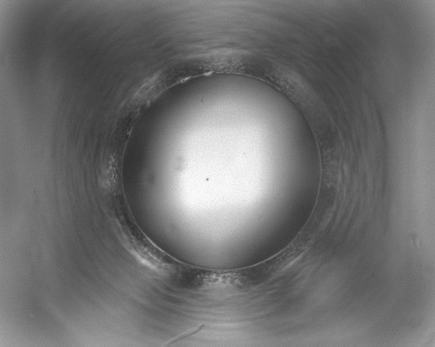 X0000052940077200508050907