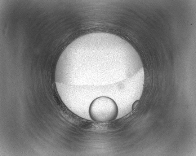 X0000052940078200508050907