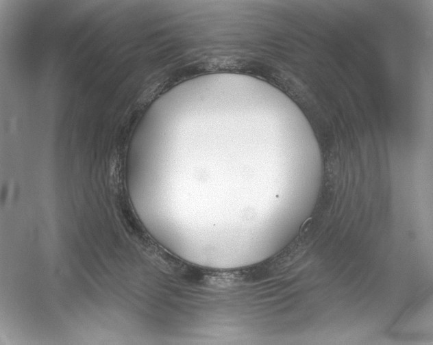 X0000052940079200508050907