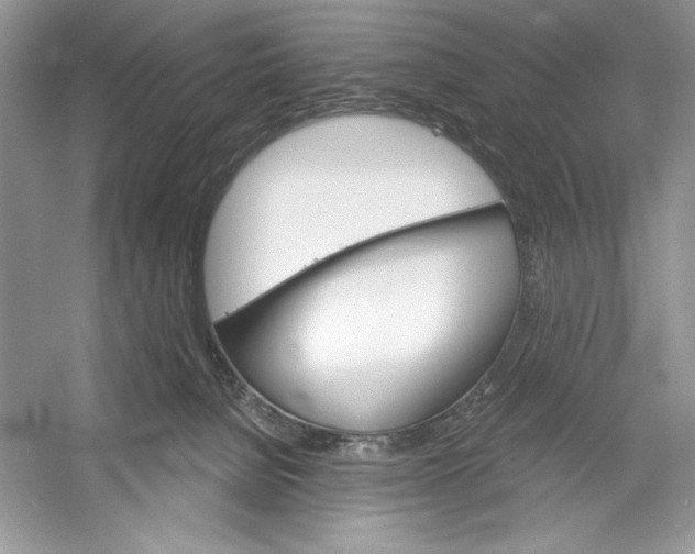 X0000052940080200508050907