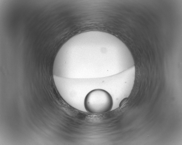 X0000052940082200508050907