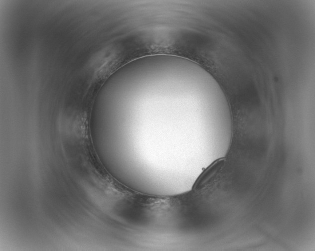 X0000052940083200508050907