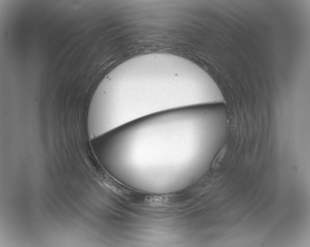 X0000052940084200508050907