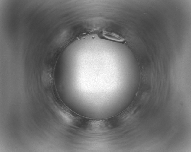 X0000052940085200508050907