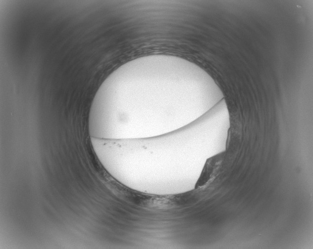 X0000052940086200508050907