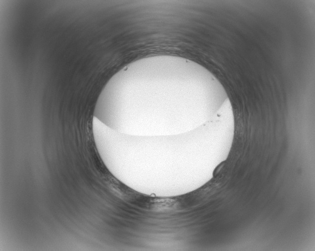 X0000052940087200508050907