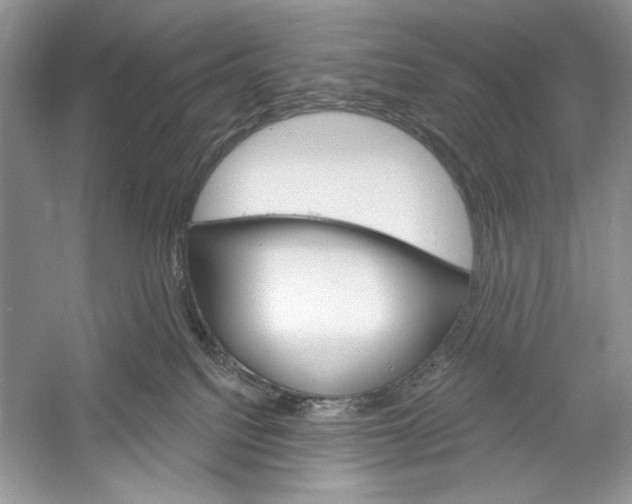 X0000052940088200508050907