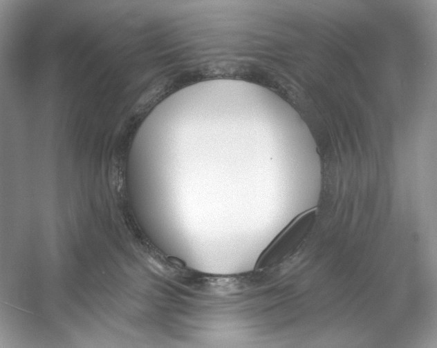 X0000052940091200508050907