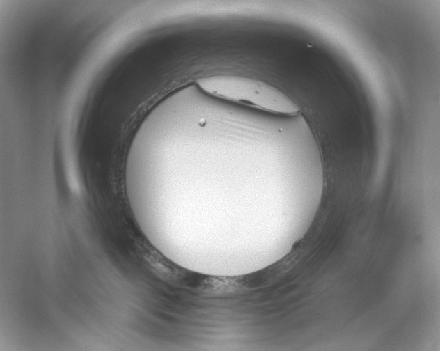 X0000052940093200508050907