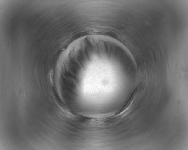 X0000052940094200508050907