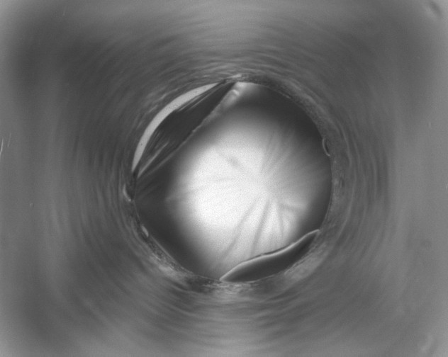 X0000052940096200508050907