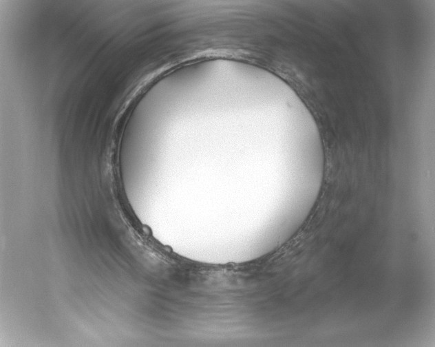 X0000052940098200508050906