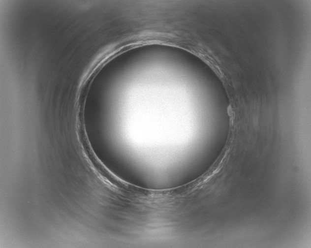 X0000052940101200508050906