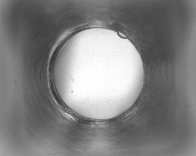 X0000052940102200508050906