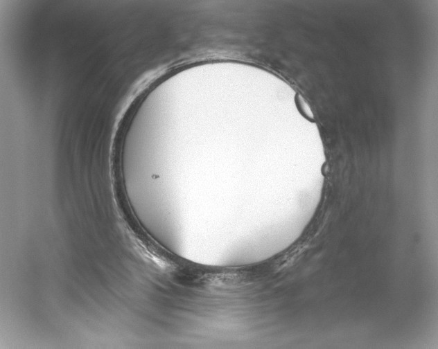 X0000052940104200508050906