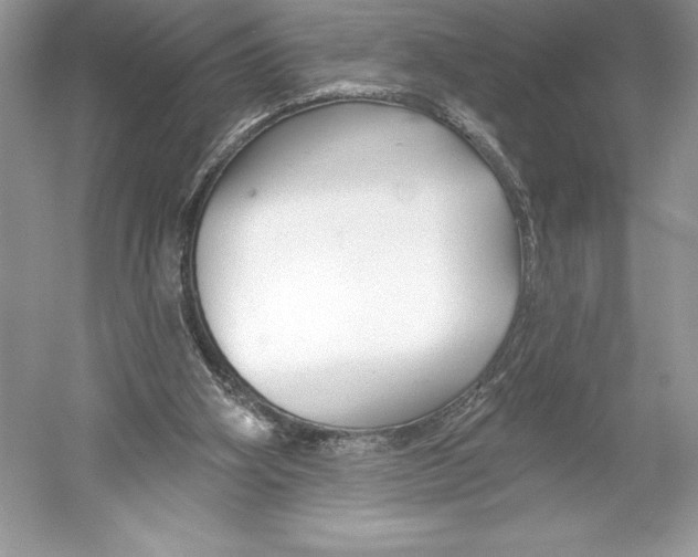 X0000052940106200508050906