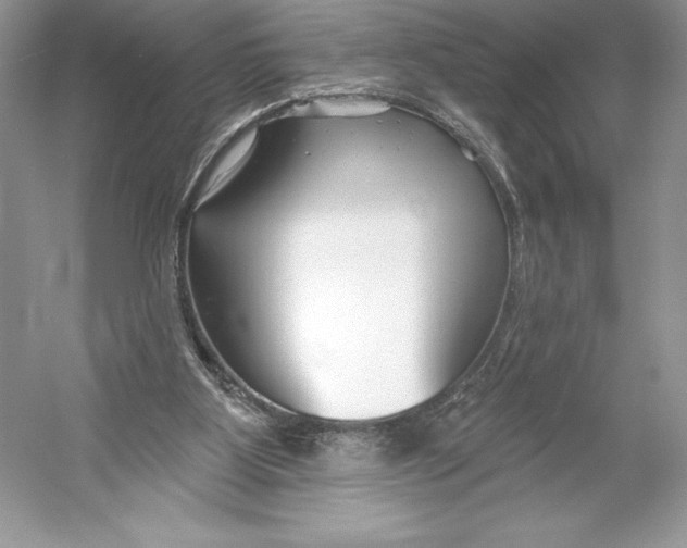 X0000052940107200508050906