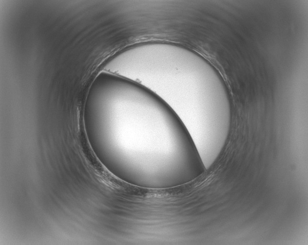 X0000052940109200508050906