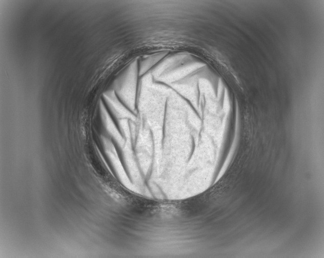 X0000052940114200508050906