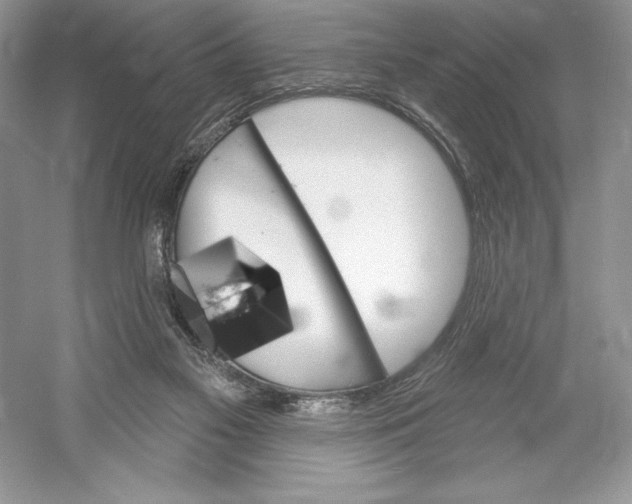 X0000052940117200508050906