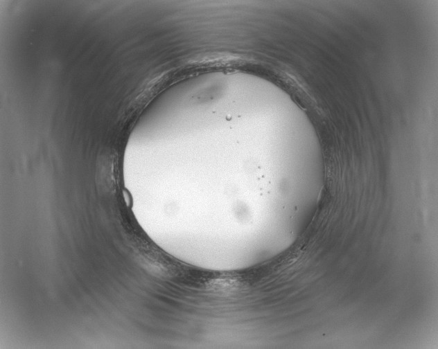 X0000052940119200508050906