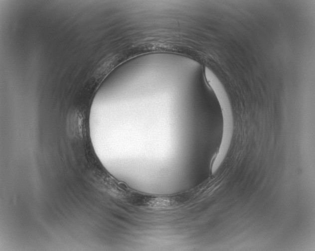 X0000052940123200508050906