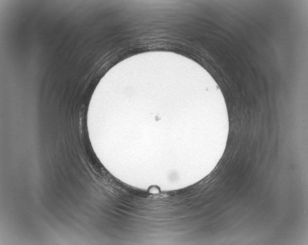 X0000052940124200508050906