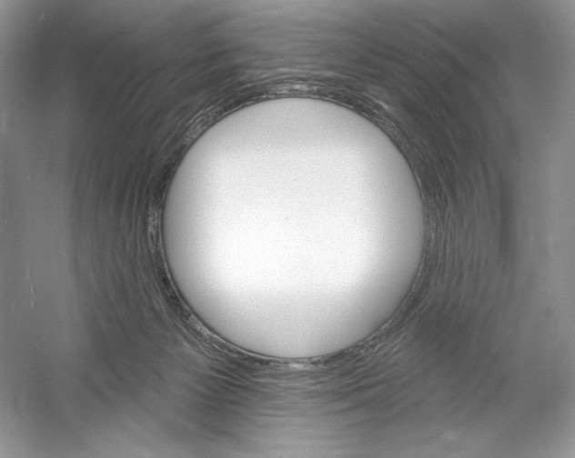 X0000052940125200508050906