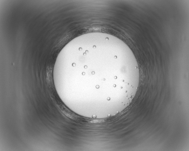 X0000052940126200508050906