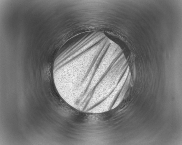 X0000052940127200508050906