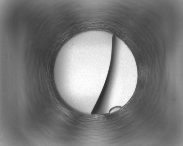 X0000052940128200508050906