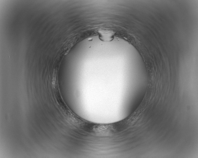 X0000052940129200508050906