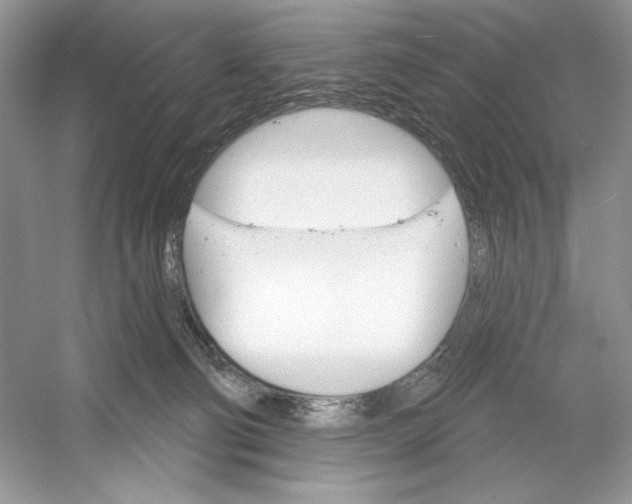 X0000052940130200508050906