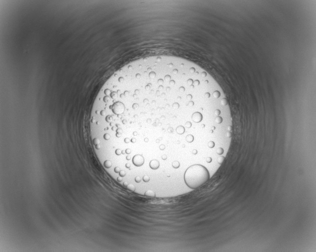 X0000052940131200508050906