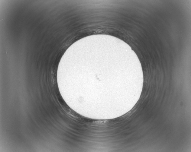 X0000052940136200508050905