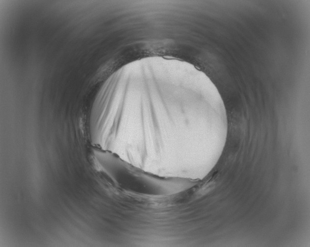 X0000052940139200508050905