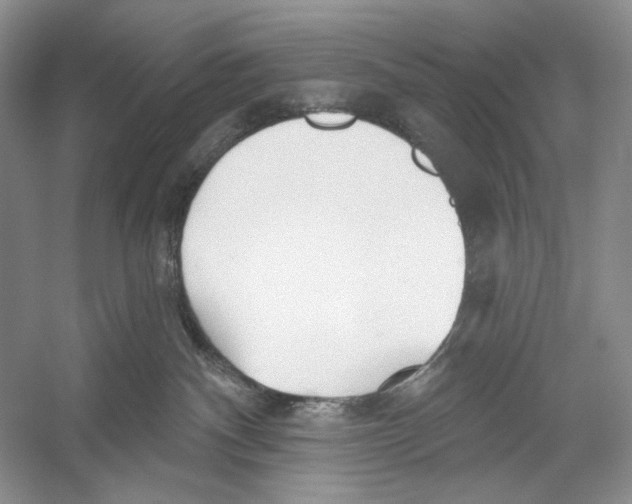 X0000052940140200508050905