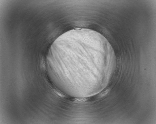 X0000052940143200508050905