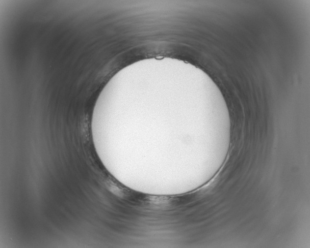 X0000052940144200508050905