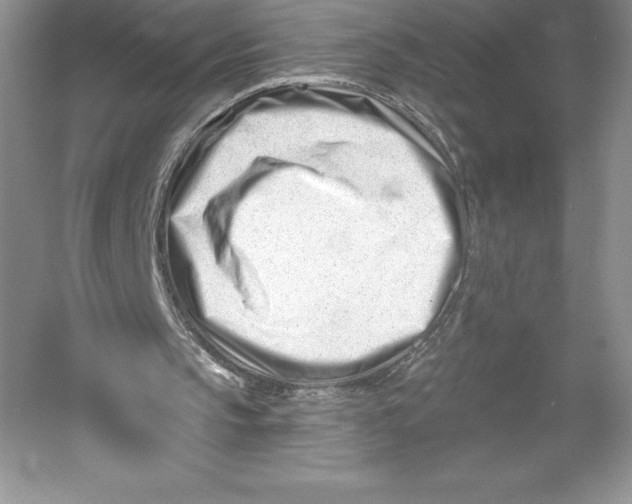 X0000052940145200508050904