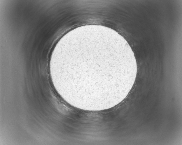 X0000052940146200508050905