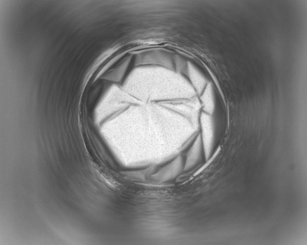 X0000052940147200508050905