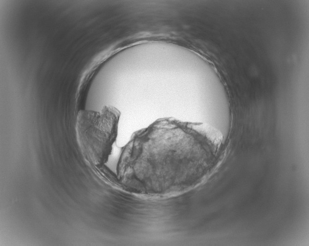 X0000052940149200508050905