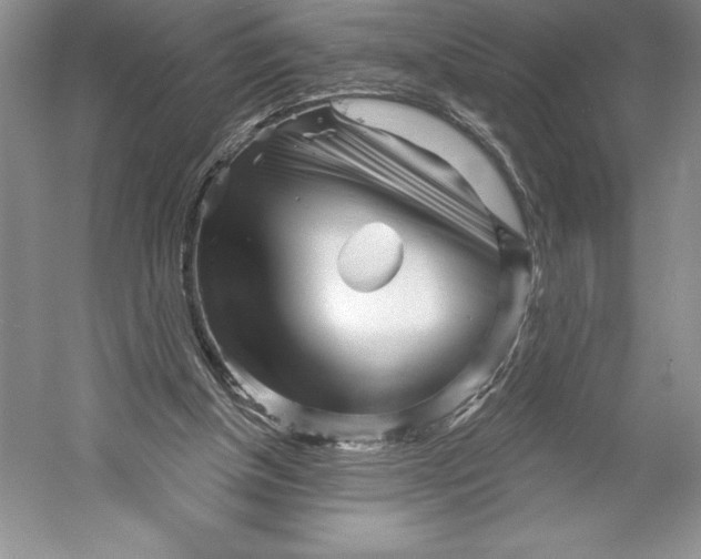 X0000052940154200508050905