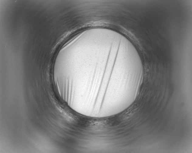 X0000052940155200508050905