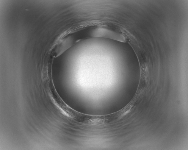 X0000052940158200508050905