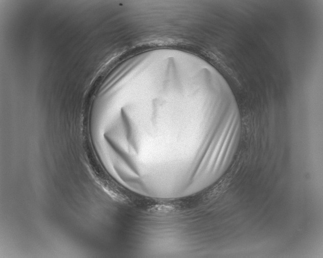 X0000052940159200508050905