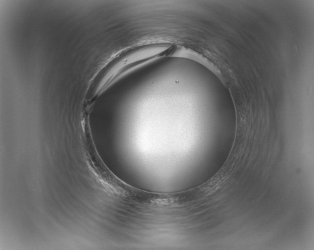 X0000052940160200508050905