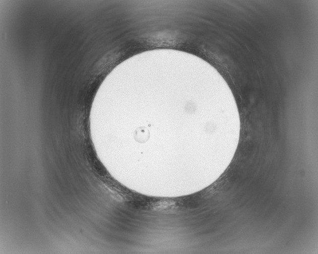 X0000052940162200508050905