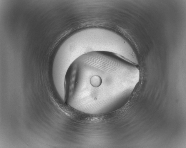 X0000052940163200508050905